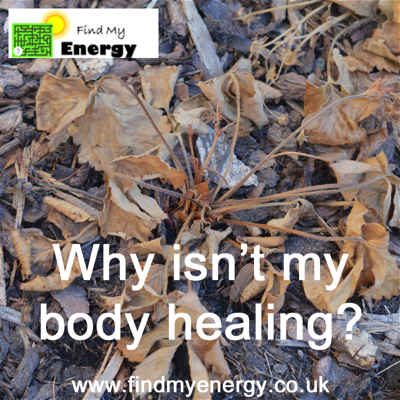 Why isn't my body healing? Find My Energy